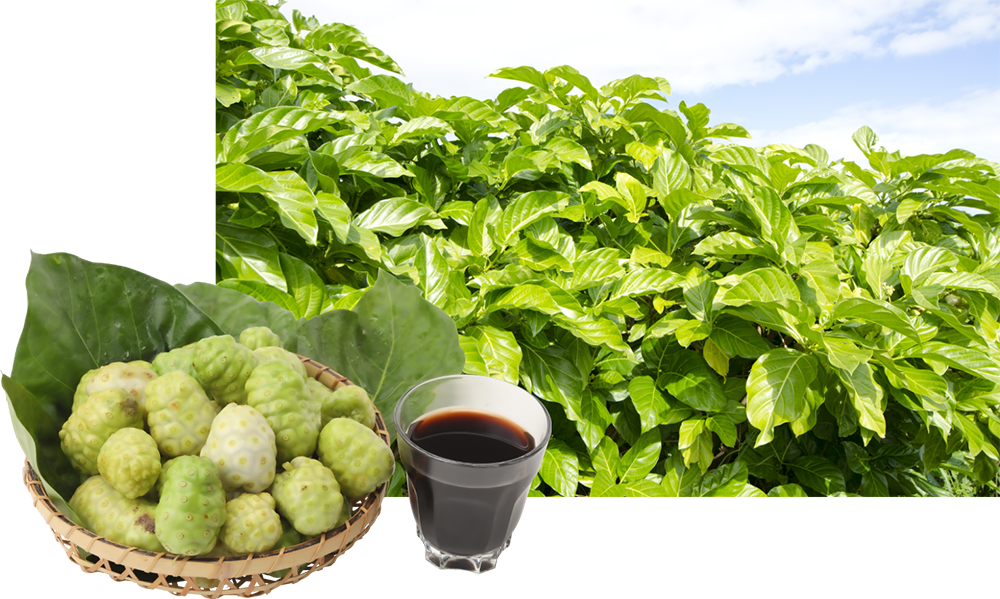 神様からの贈り物